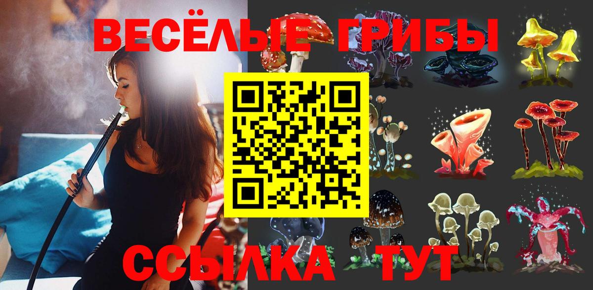 Галлюциногенные грибы Cubensis Мичуринск