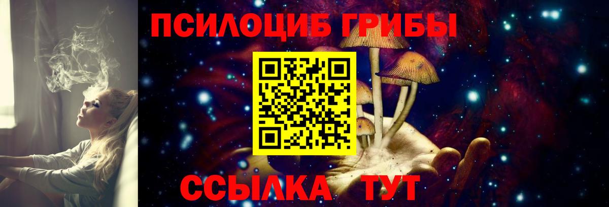 Мичуринск  Псилоцибиновые грибы мицелий  закладка  Вход с VPN 